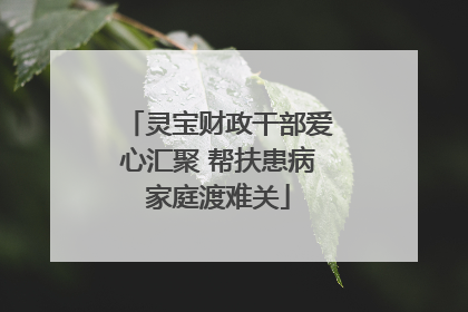 灵宝财政干部爱心汇聚 帮扶患病家庭渡难关