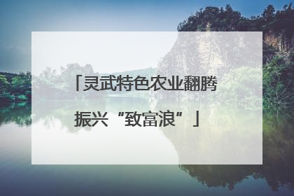 灵武特色农业翻腾振兴“致富浪”