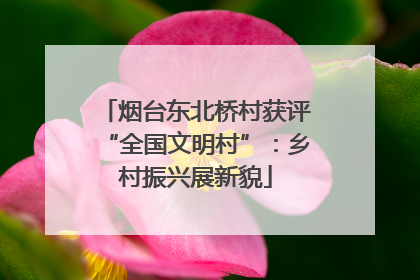 烟台东北桥村获评“全国文明村”：乡村振兴展新貌
