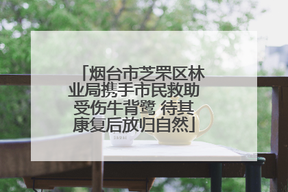 烟台市芝罘区林业局携手市民救助受伤牛背鹭 待其康复后放归自然