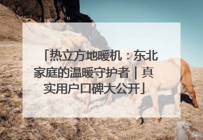 热立方地暖机：东北家庭的温暖守护者｜真实用户口碑大公开