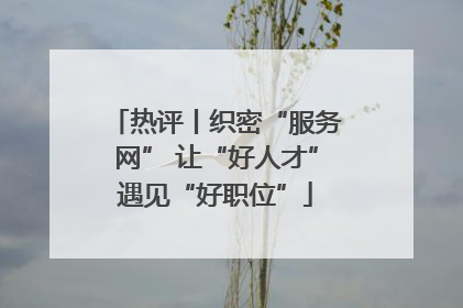 热评丨织密“服务网” 让“好人才”遇见“好职位”