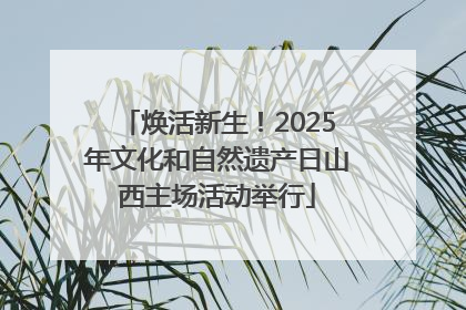 焕活新生！2025年文化和自然遗产日山西主场活动举行
