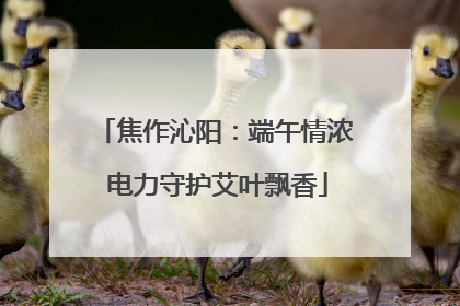 焦作沁阳：端午情浓 电力守护艾叶飘香