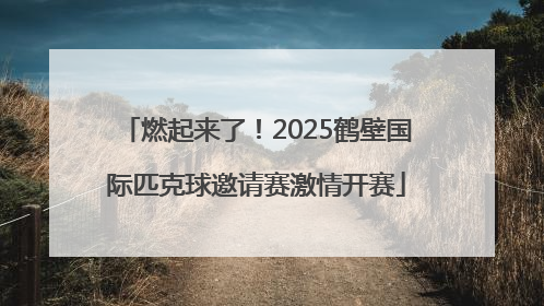 燃起来了！2025鹤壁国际匹克球邀请赛激情开赛