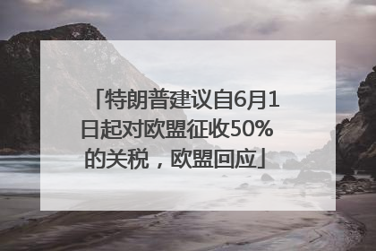 特朗普建议自6月1日起对欧盟征收50%的关税，欧盟回应