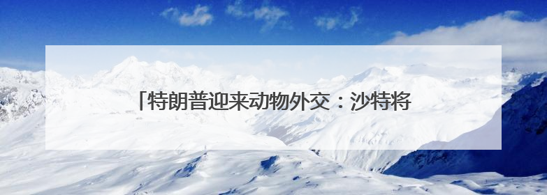 特朗普迎来动物外交：沙特将送两只“大猫咪”去美国首都