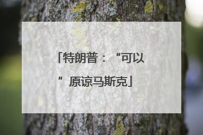 特朗普：“可以”原谅马斯克