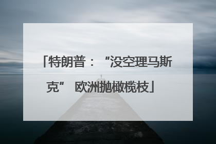 特朗普：“没空理马斯克” 欧洲抛橄榄枝