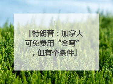 特朗普：加拿大可免费用“金穹”，但有个条件