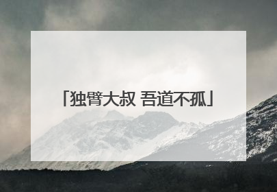 独臂大叔 吾道不孤