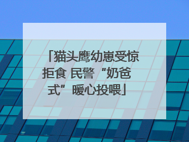 猫头鹰幼崽受惊拒食 民警“奶爸式”暖心投喂