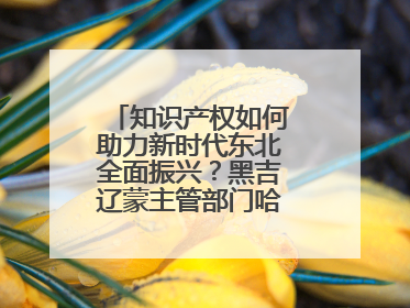 知识产权如何助力新时代东北全面振兴？黑吉辽蒙主管部门哈尔滨“论剑”