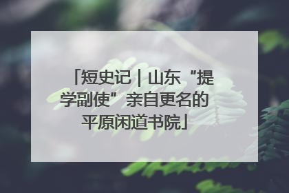 短史记｜山东“提学副使”亲自更名的平原闲道书院