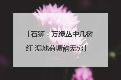 石狮：万绿丛中几树红 湿地荷塘韵无穷