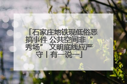 石家庄地铁现低俗恶搞事件 公共空间非“秀场” 文明底线应严守丨有一说一