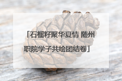 石榴籽聚华夏情 随州职院学子共绘团结卷