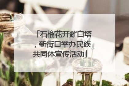 石榴花开耀白塔，新街口举办民族共同体宣传活动