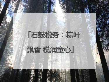 石鼓税务：粽叶飘香 税润童心