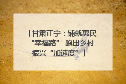 甘肃正宁：铺就惠民“幸福路” 跑出乡村振兴“加速度”