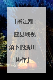 甬江潮：一座县域视角下的浙川协作