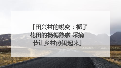 田兴村的蜕变：栀子花田的杨梅熟啦 采摘节让乡村热闹起来