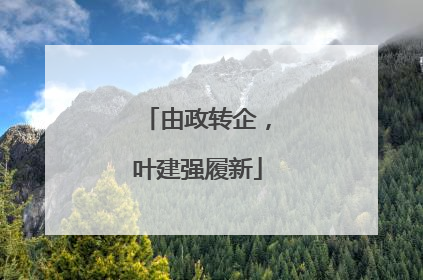 由政转企，叶建强履新