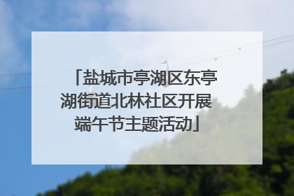 盐城市亭湖区东亭湖街道北林社区开展端午节主题活动