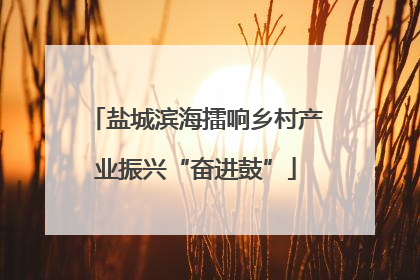 盐城滨海擂响乡村产业振兴“奋进鼓”