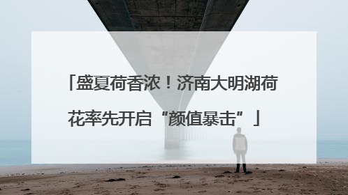 盛夏荷香浓！济南大明湖荷花率先开启“颜值暴击”
