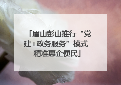 眉山彭山推行“党建+政务服务”模式 精准惠企便民