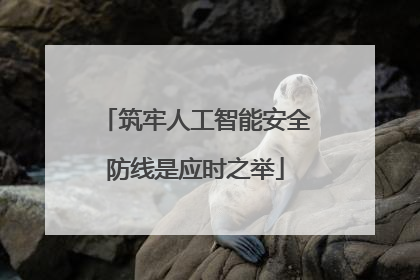 筑牢人工智能安全防线是应时之举