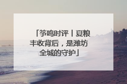 筝鸣时评丨夏粮丰收背后，是潍坊全城的守护