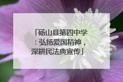 砀山县第四中学：弘扬爱国精神，深耕民法典宣传