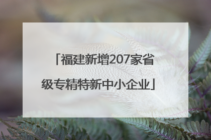 福建新增207家省级专精特新中小企业