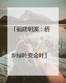 福建明溪：侨乡绿叶变金叶