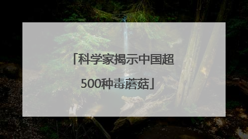 科学家揭示中国超500种毒蘑菇
