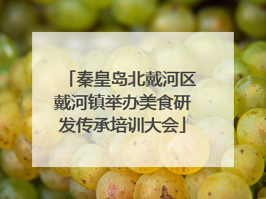 秦皇岛北戴河区戴河镇举办美食研发传承培训大会