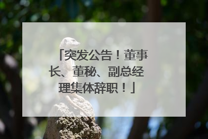 突发公告！董事长、董秘、副总经理集体辞职！
