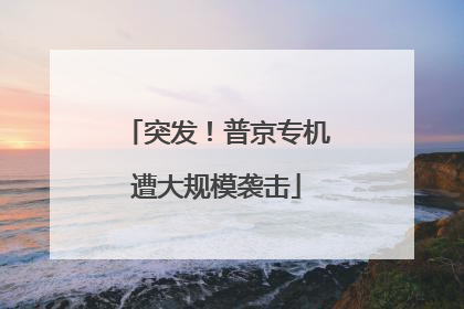 突发！普京专机遭大规模袭击