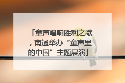 童声唱响胜利之歌，南通举办“童声里的中国”主题展演