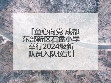 童心向党 成都东部新区石盘小学举行2024级新队员入队仪式