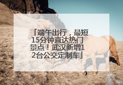 端午出行，最短15分钟直达热门景点！武汉新增12台公交定制车