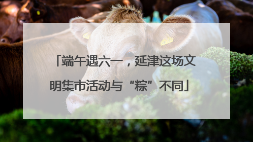 端午遇六一，延津这场文明集市活动与“粽”不同