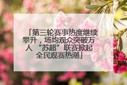 第三轮赛事热度继续攀升，场均观众突破万人 “苏超”联赛掀起全民观赛热潮