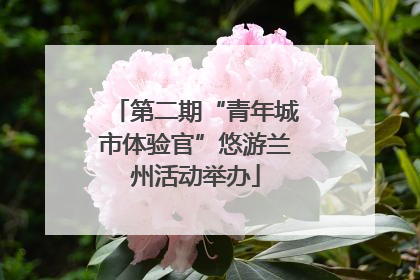 第二期“青年城市体验官”悠游兰州活动举办