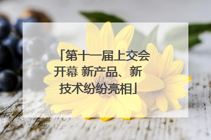 第十一届上交会开幕 新产品、新技术纷纷亮相