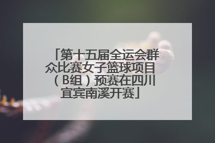 第十五届全运会群众比赛女子篮球项目（B组）预赛在四川宜宾南溪开赛
