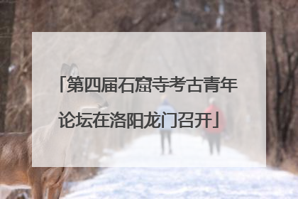 第四届石窟寺考古青年论坛在洛阳龙门召开