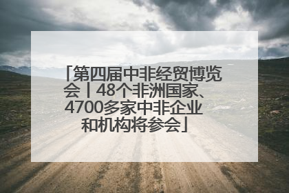 第四届中非经贸博览会丨48个非洲国家、4700多家中非企业和机构将参会
